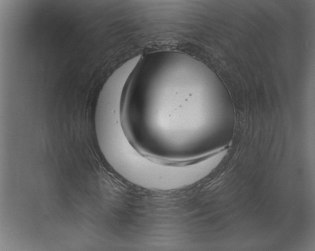 X0000073410818200608181053