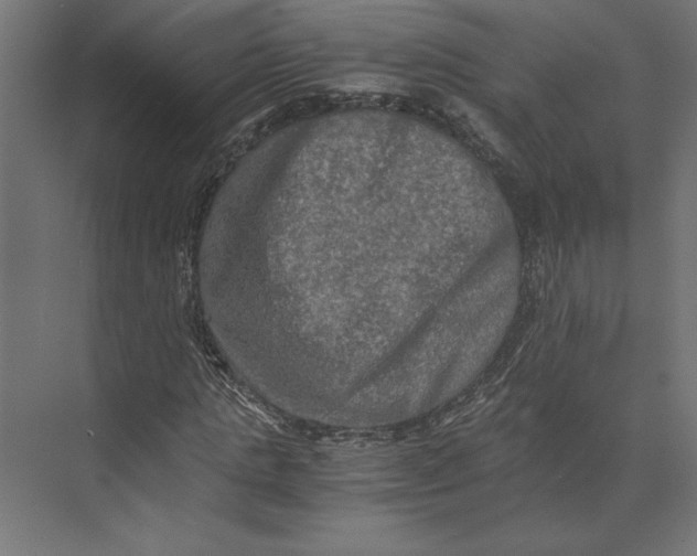 X0000073410821200608181053