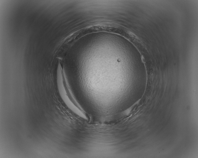 X0000073410822200608181053