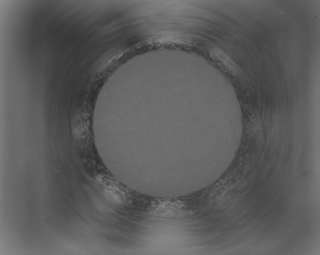 X0000073410824200608181053