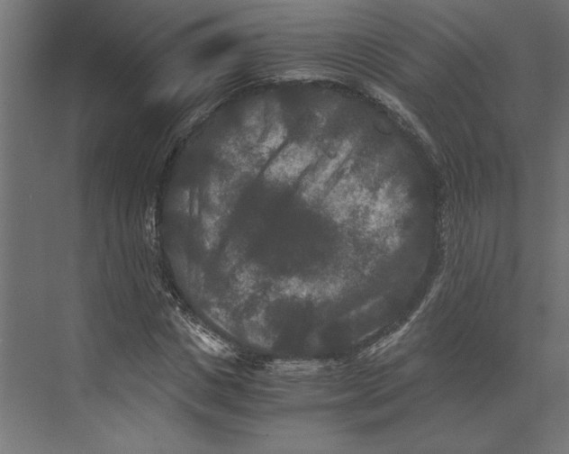 X0000073410825200608181053