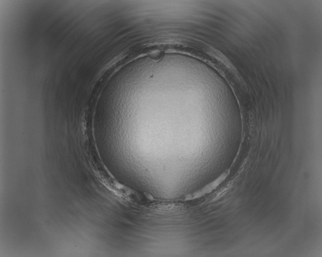 X0000073410826200608181053