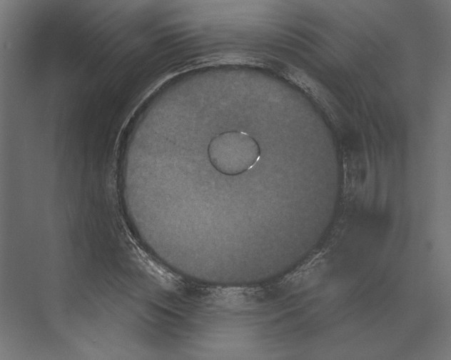 X0000073410828200608181053