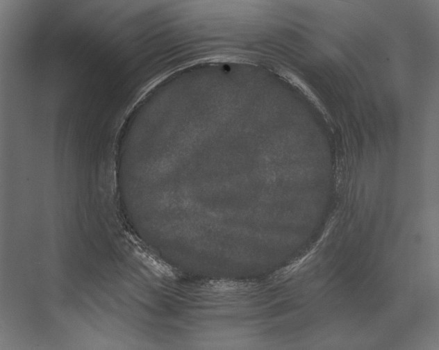 X0000073410829200608181053