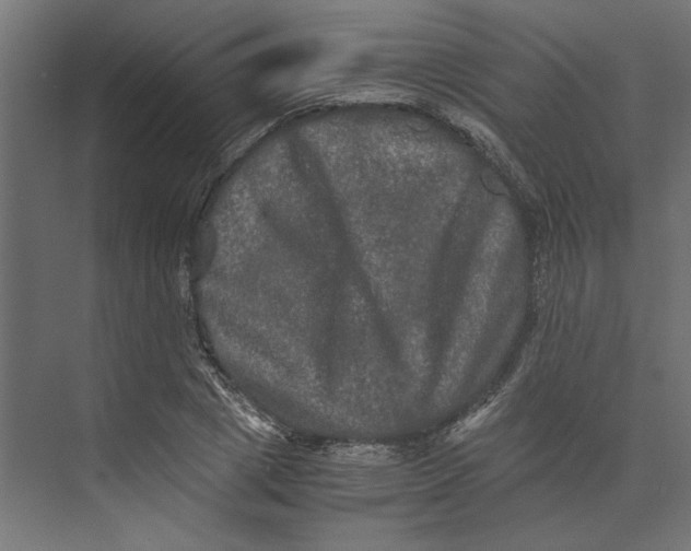 X0000073410833200608181053