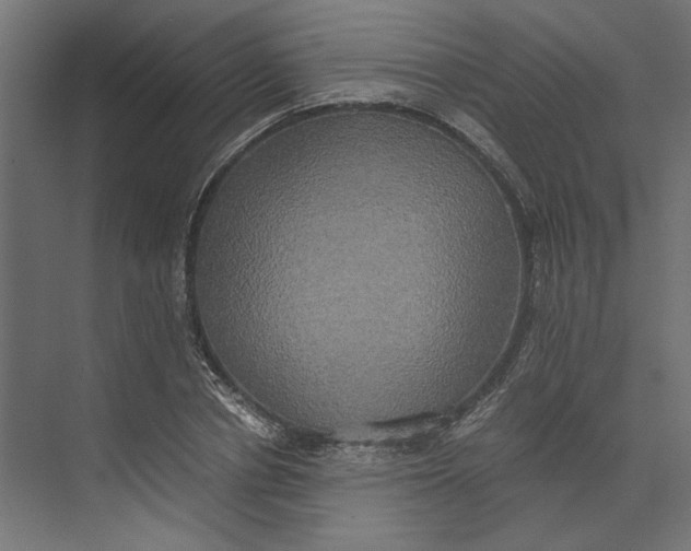 X0000073410834200608181053