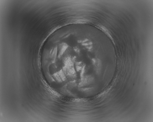 X0000073410835200608181053