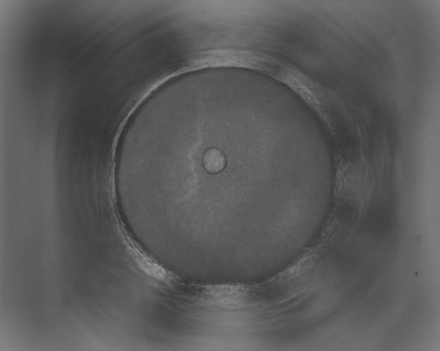 X0000073410836200608181053