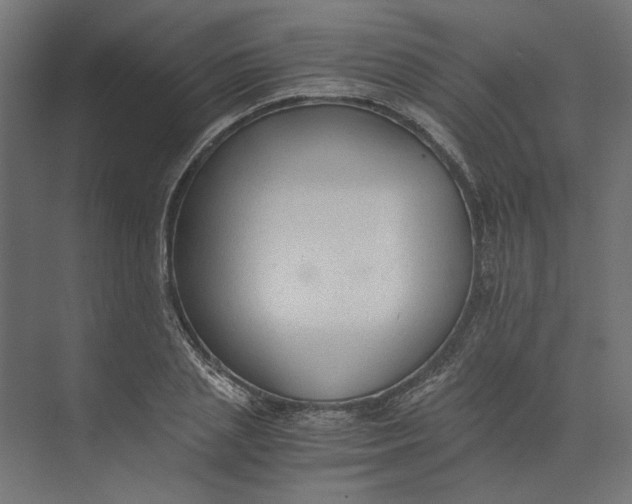 X0000073410837200608181053