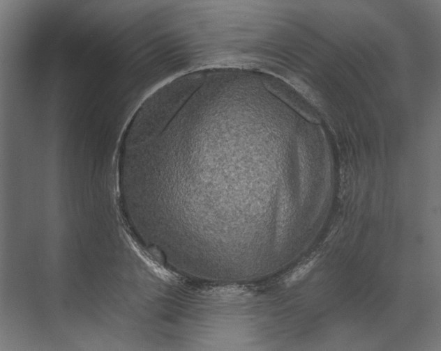 X0000073410838200608181053