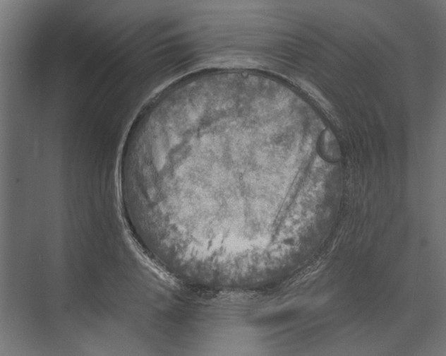 X0000073410840200608181053