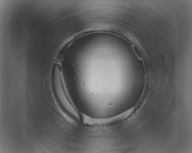 X0000073410842200608181053