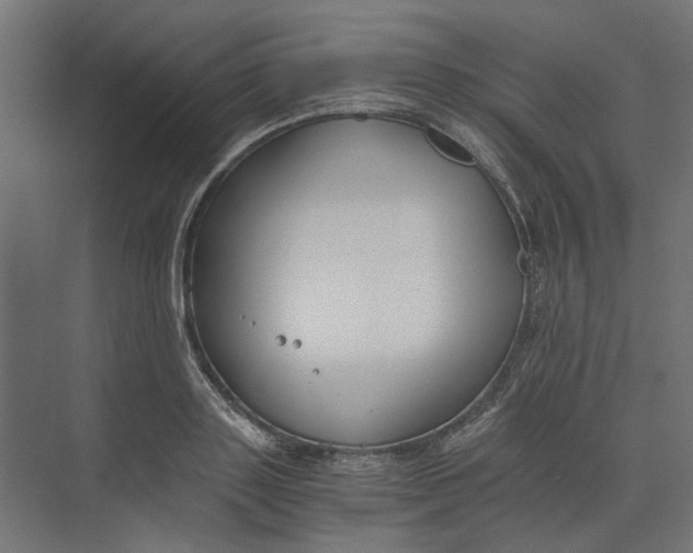 X0000073410843200608181053