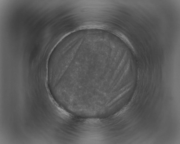 X0000073410844200608181053