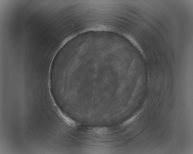 X0000073410845200608181053