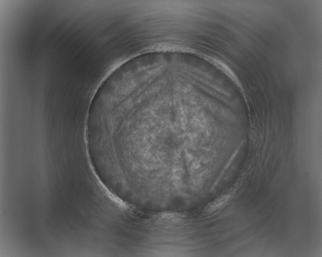 X0000073410847200608181053