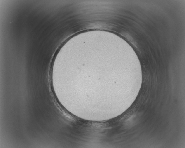 X0000073410848200608181053