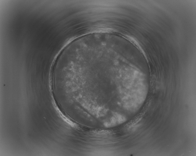 X0000073410851200608181053