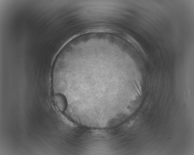 X0000073410852200608181053