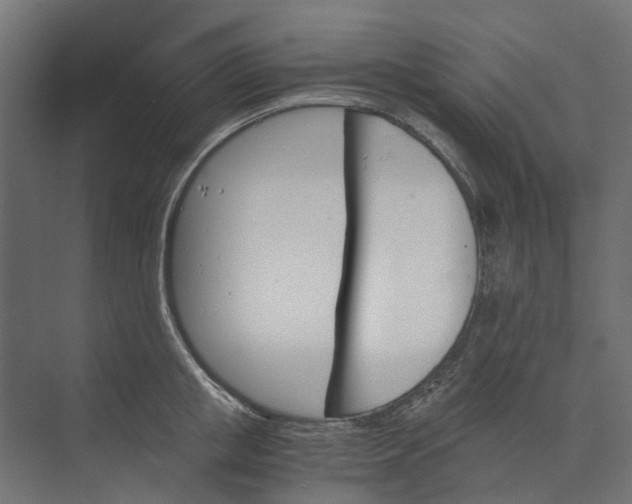 X0000073410853200608181053