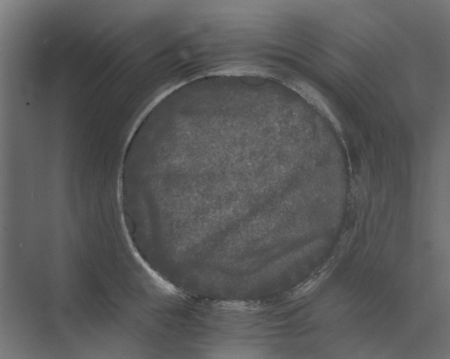 X0000073410855200608181053