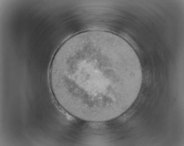 X0000073410856200608181053