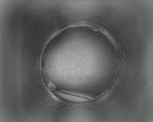 X0000073410858200608181053