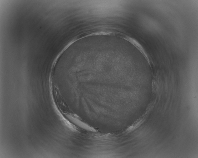 X0000073410859200608181053