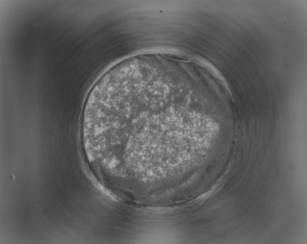 X0000073410860200608181053