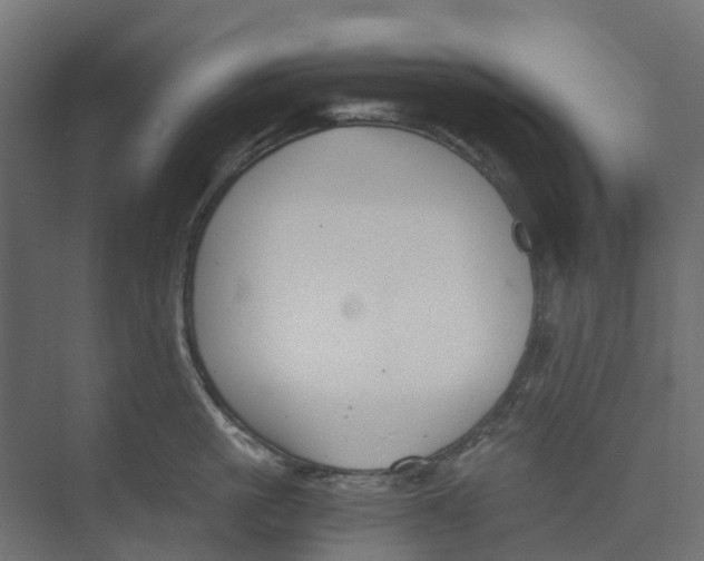 X0000073410861200608181053