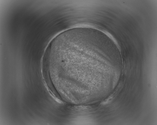 X0000073410862200608181053