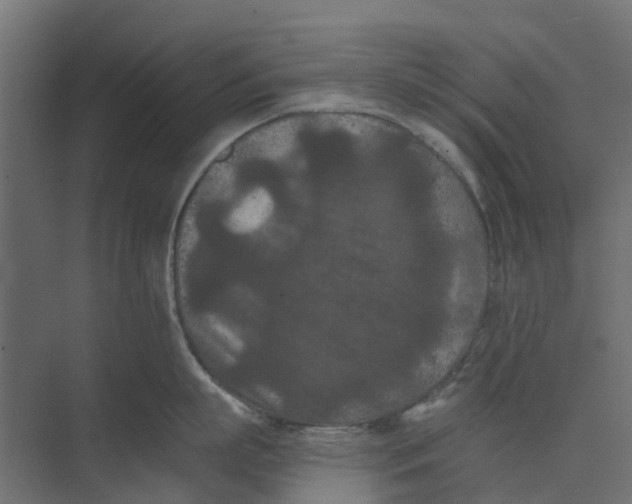 X0000073410863200608181053