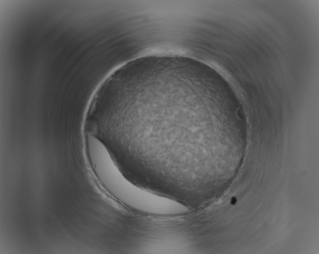 X0000073410864200608181053