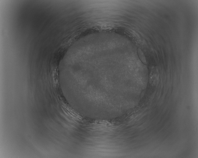 X0000073410866200608181053