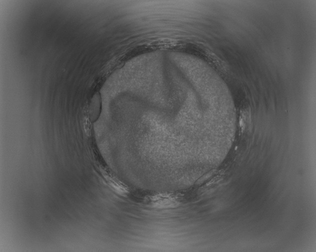 X0000073410867200608181052