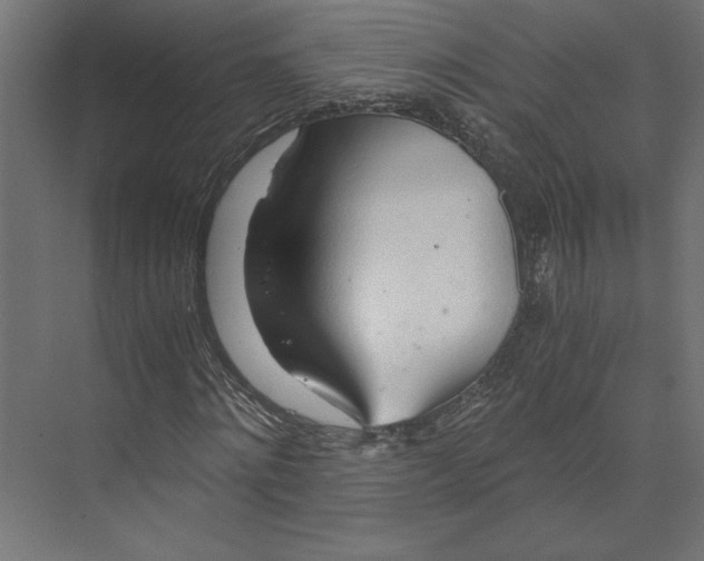 X0000073410868200608181052