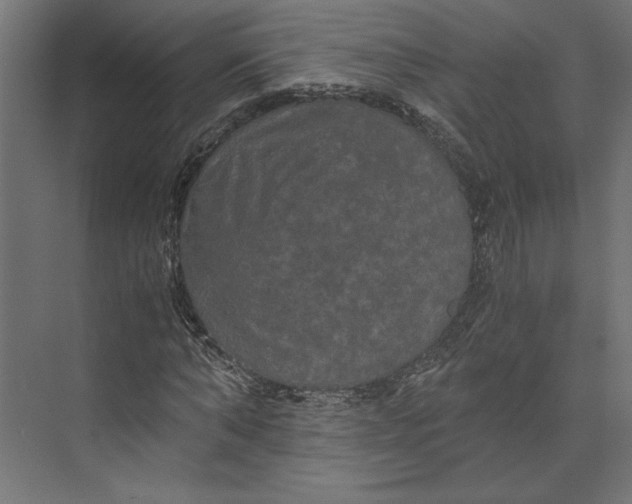 X0000073410870200608181052