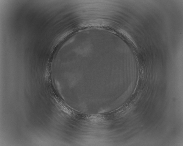 X0000073410874200608181052