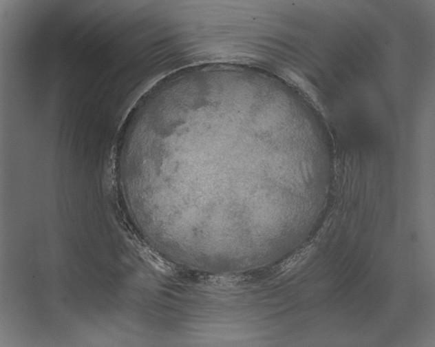 X0000073410875200608181052