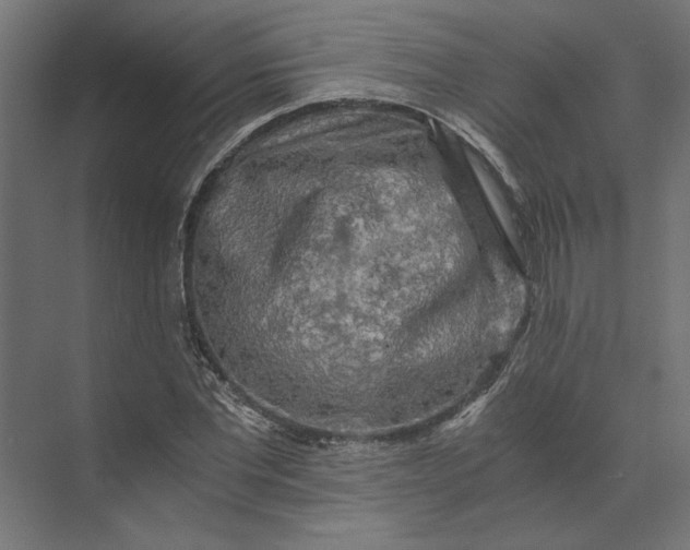 X0000073410877200608181052