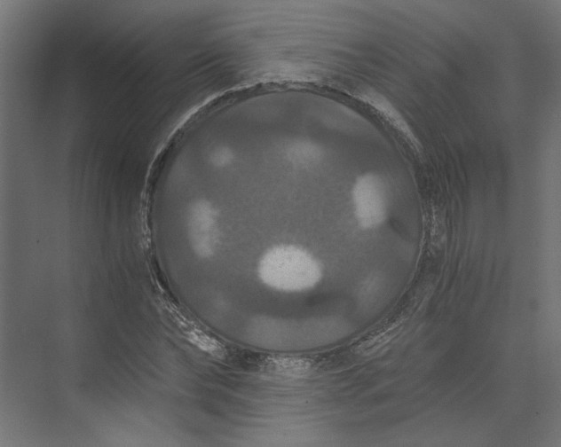 X0000073410878200608181052