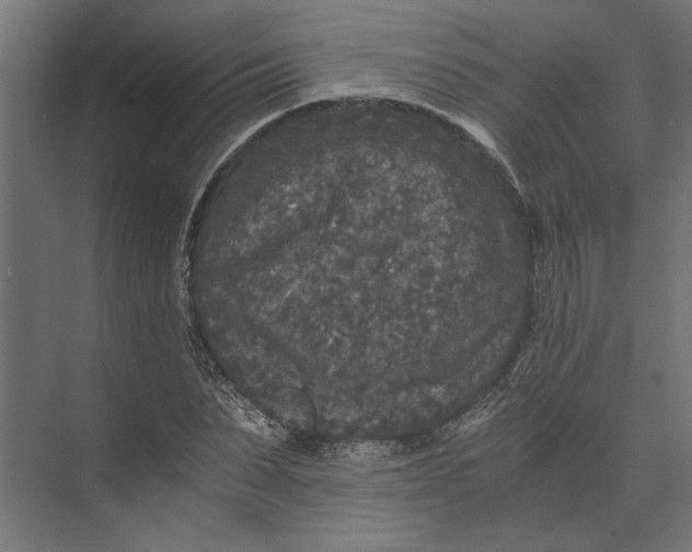 X0000073410879200608181052