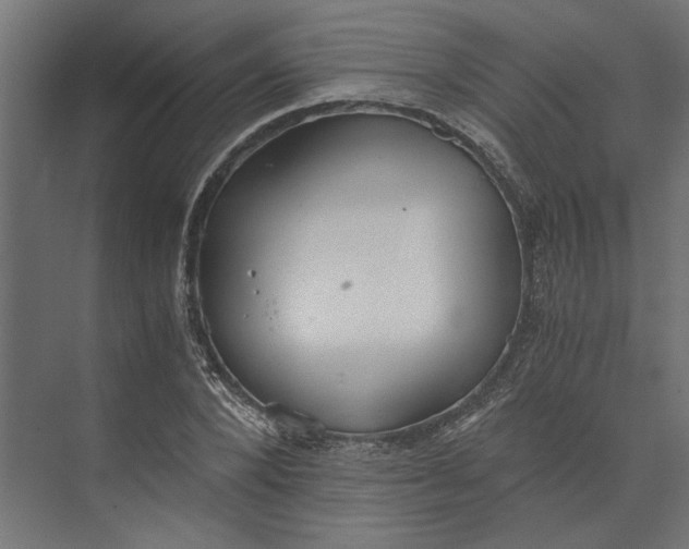 X0000073410880200608181052