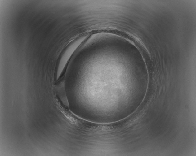 X0000073410881200608181052