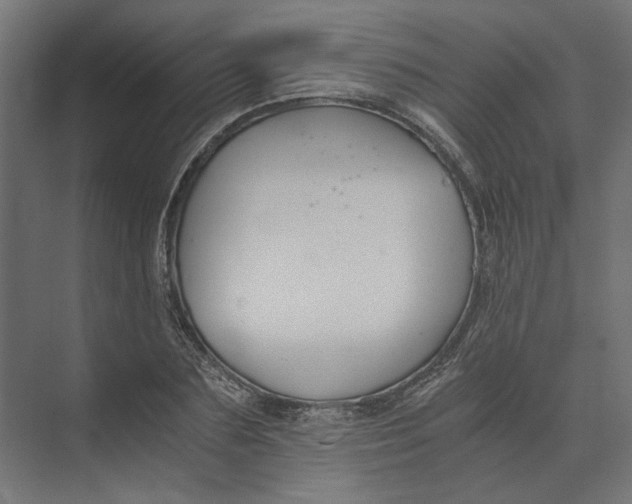 X0000073410883200608181052