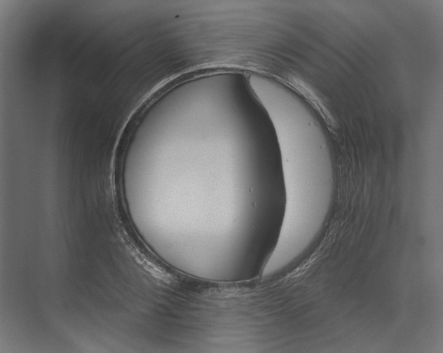 X0000073410884200608181052