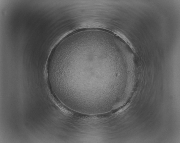 X0000073410885200608181052