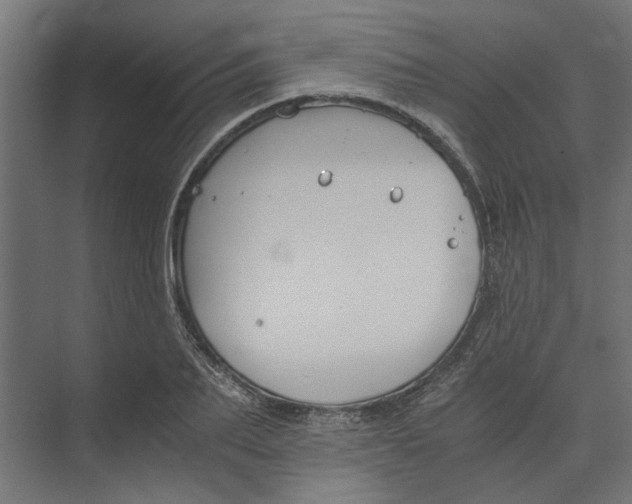 X0000073410887200608181052