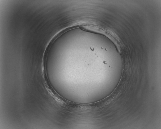 X0000073410888200608181052