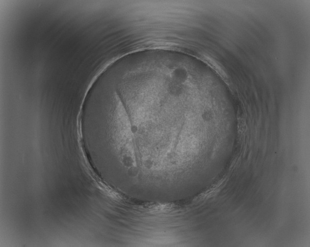 X0000073410891200608181052